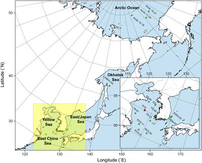 Microbial alteration in marine sediments: Insights from compound-specific isotopic compositions of amino acids in subseafloor environments